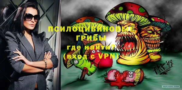 сатива Балабаново