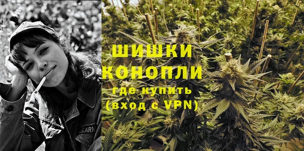 сатива Балабаново