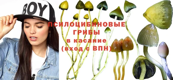 сатива Балабаново